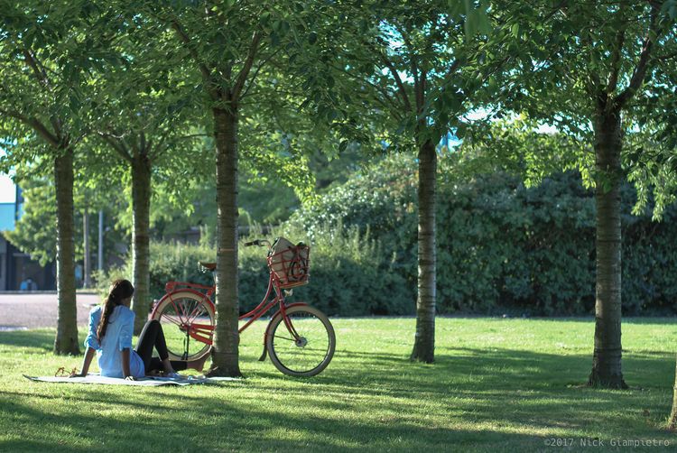 Copenhagen Bike Girl