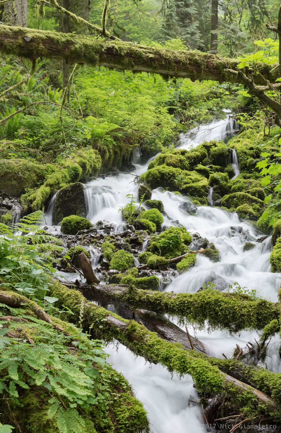 Wahkeena Trail